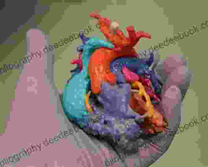 A 3D Printed Heart Model, Used For Surgical Planning. Medical Modelling: The Application Of Advanced Design And Rapid Prototyping Techniques In Medicine (Woodhead Publishing In Biomaterials 91)