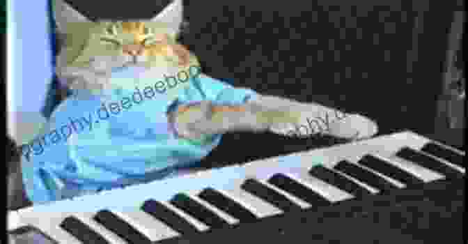 A Cat Playing The Piano With Its Paws Cats On The Job: 50 Fabulous Felines Who Purr Mouse And Even Sing For Their Supper