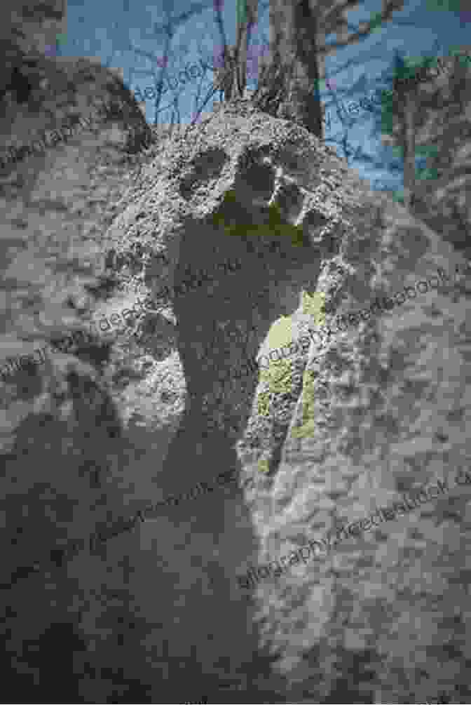 A Collection Of Large, Distinctive Footprints Allegedly Left By Sasquatch. Sasquatch: The Apes Among Us