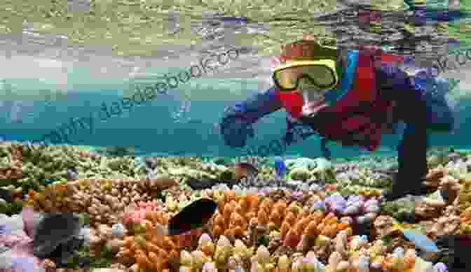 A Diver Exploring A Coral Reef India The Home Of Real Adventure 1