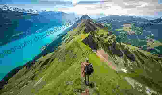 A Hiker Walking On A Trail In The Swiss National Park, Surrounded By Dense Forests And Mountains High Horizons In Switzerland Part 1: Travelling In Switzerland