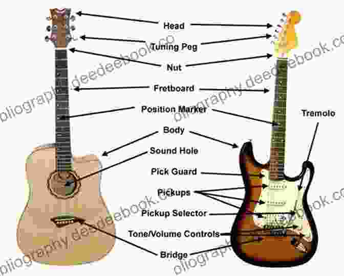 A Hybrid Guitar Beginner Guitar Primer: Everything You Should Know BEFORE You Begin To Play Guitar