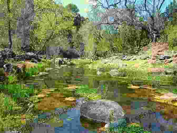 A Lush Riparian Forest Flourishes Along A Crystal Clear Stream, Its Towering Cottonwoods And Willows Creating A Verdant Oasis In The Surrounding Desert. Plants Of Arizona 2nd (Falcon Guides)