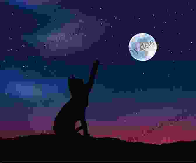 A Playful Cat Chasing The Moon In A Starry Night Sky Cat Chase The Moon: A Joe Grey Mystery (Joe Grey Mystery Series)