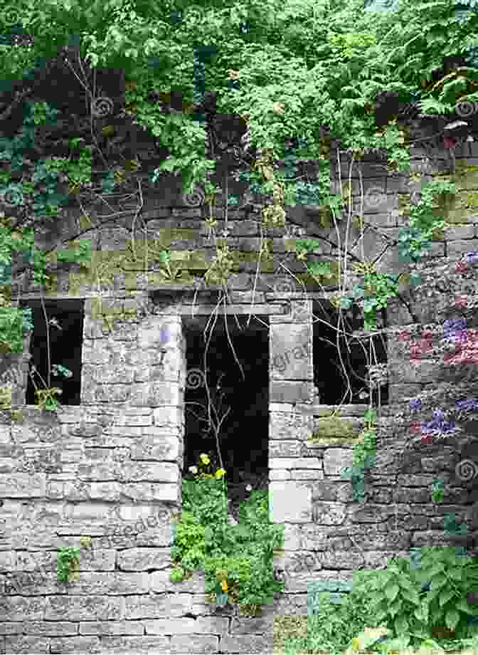 An Abandoned Doorway, Overgrown With Weeds, Leading To A Crumbling Interior Abandoned C J Petit