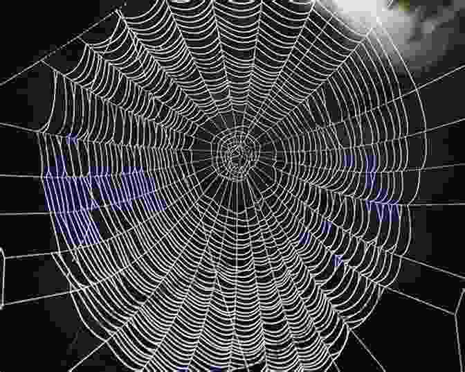 Circular Orb Web, Suspended In A Garden Spi Ku: A Clutter Of Short Verse On Eight Legs
