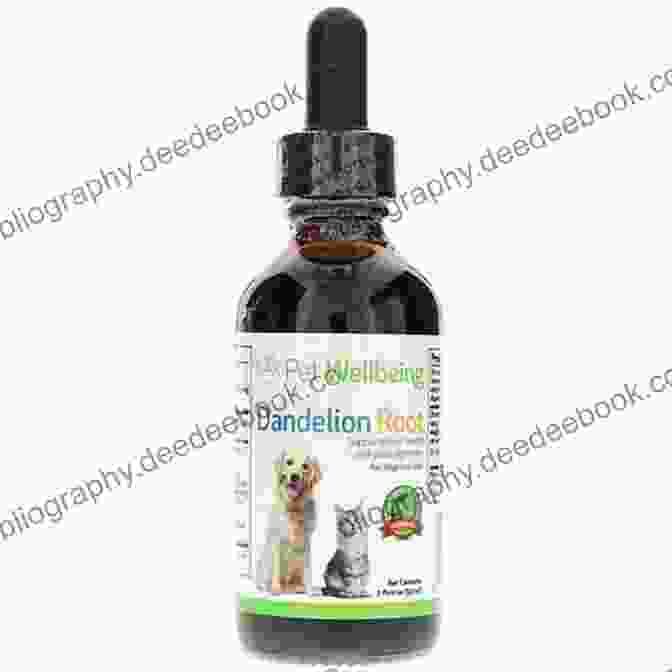 Dandelion Root Herb For Cats The Veterinarians Guide To Natural Remedies For Cats: Safe And Effective Alternative Treatments And Healing Techniques From The Nations Top Holistic Veterinarians