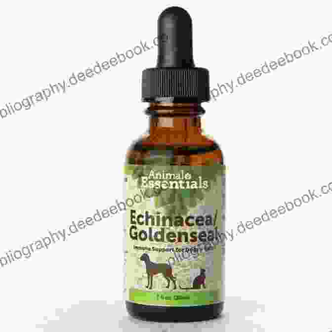 Echinacea Herb For Cats The Veterinarians Guide To Natural Remedies For Cats: Safe And Effective Alternative Treatments And Healing Techniques From The Nations Top Holistic Veterinarians