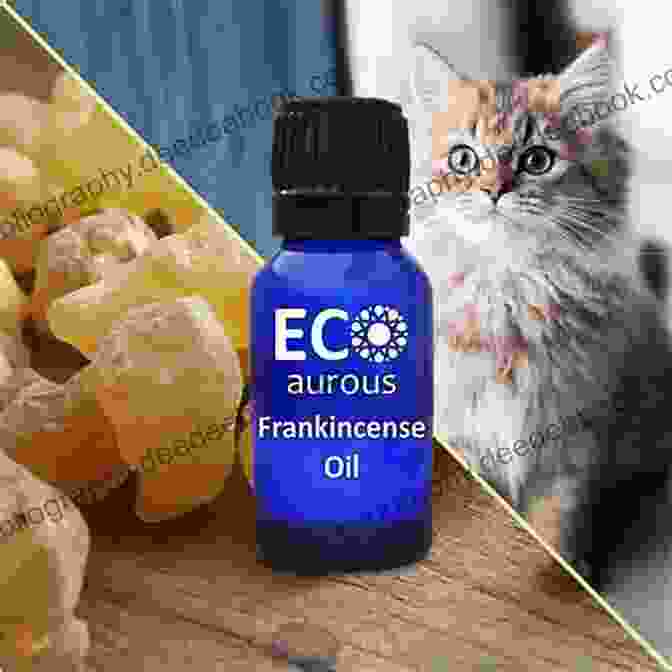 Frankincense Essential Oil For Cats The Veterinarians Guide To Natural Remedies For Cats: Safe And Effective Alternative Treatments And Healing Techniques From The Nations Top Holistic Veterinarians