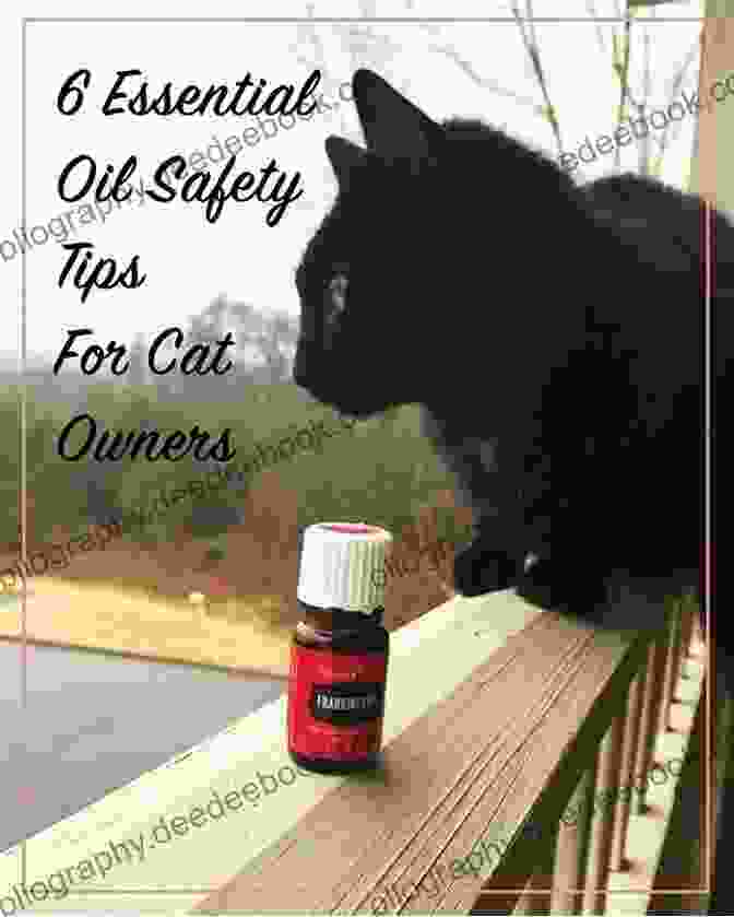 Lavender Essential Oil For Cats The Veterinarians Guide To Natural Remedies For Cats: Safe And Effective Alternative Treatments And Healing Techniques From The Nations Top Holistic Veterinarians