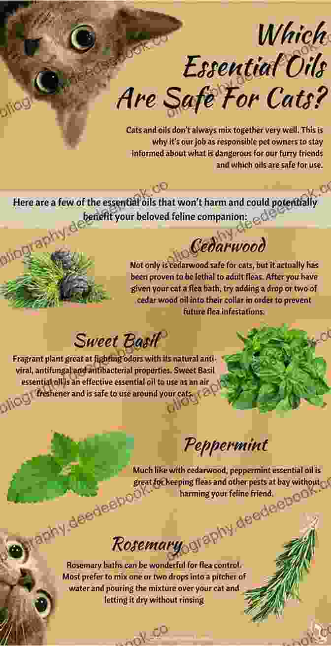 Peppermint Essential Oil For Cats The Veterinarians Guide To Natural Remedies For Cats: Safe And Effective Alternative Treatments And Healing Techniques From The Nations Top Holistic Veterinarians