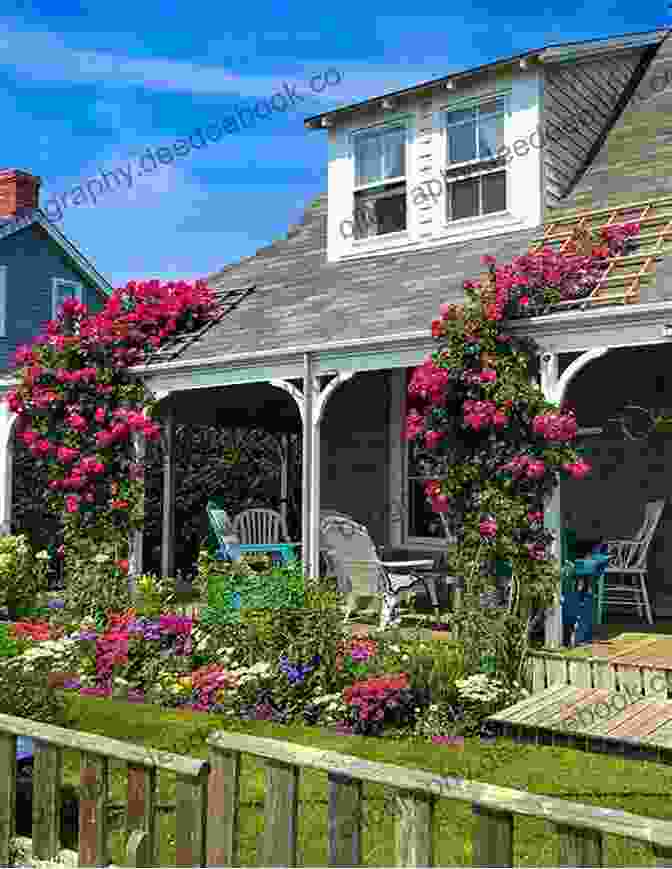 Sconset Bluff Walk Sconset S Rose Covered Cottages Mike Barton
