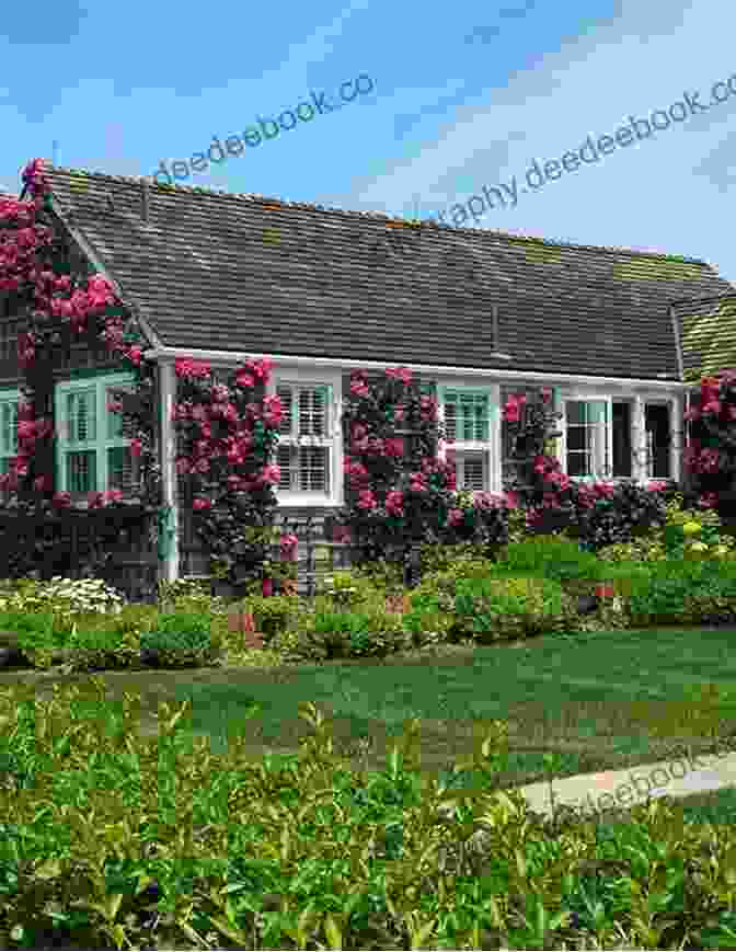 Sconset Cobblestone Streets Sconset S Rose Covered Cottages Mike Barton