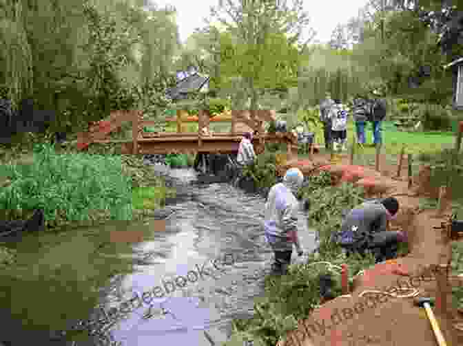 Volunteers Plant Native Trees Along A Restored Stream Bank, Demonstrating The Importance Of Conservation Efforts In Preserving Arizona's Plant Diversity. Plants Of Arizona 2nd (Falcon Guides)