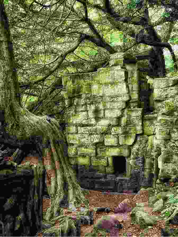 Warkworth Hermitage's Crumbling Walls And Lush Vegetation Evoke An Aura Of Ancient Tranquility Follies Of Northumberland (Follies Of England 27)