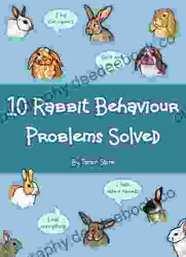 10 Rabbit Behaviour Problems Solved Tamsin Stone