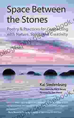 Space Between The Stones: Poetry And Practices For Connecting With Nature Spirit And Creativity (Poems Of Earth And Spirit)
