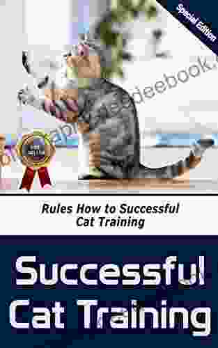Successful Cat Training: Rules How To Successful Cat Training