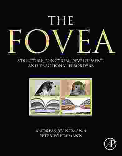 The Fovea: Structure Function Development And Tractional Disorders