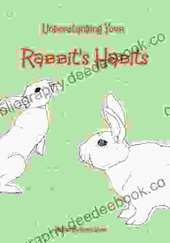 Understanding Your Rabbit S Habits Tamsin Stone