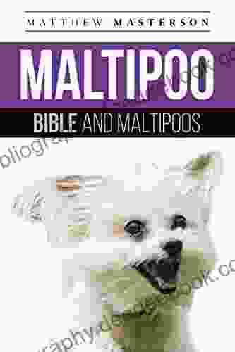 Maltipoo Bible And Maltipoos: Your Perfect Maltipoo Guide Maltipoo Maltipoos Maltipoo Puppies Maltipoo Dogs Maltipoo Breeders Maltipoo Care Maltipoo Training Health Behavior Grooming More